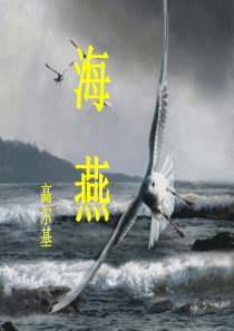 《海燕》高尔基公开课ppt