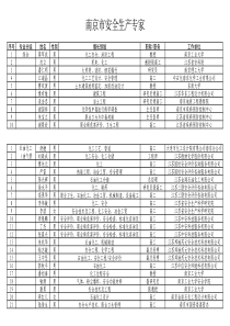 南京市安全生产专家