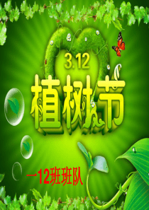 植树节主题班会PPT