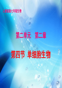 第四节 单细胞生物