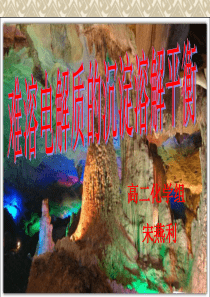 沉淀溶解平衡公开课终稿