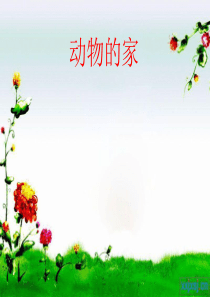 中班科学活动《动物的家》课件PPT模板