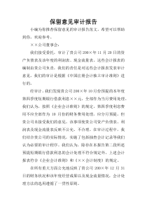 保留意见审计报告
