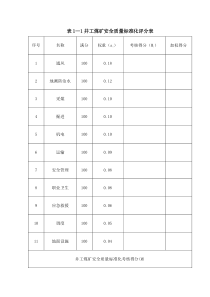 XXXX年安全质量标准化评分表