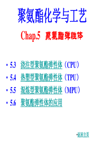 聚氨酯化学与工艺11弹性体
