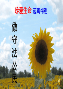 珍爱生命远离斗殴主题班会