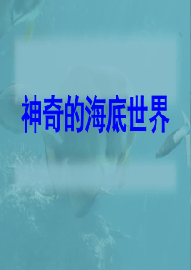 神奇的海底世界