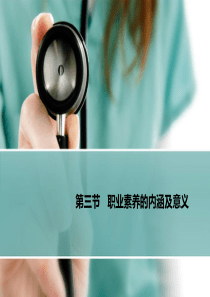 第三节职业素养的内涵及意义