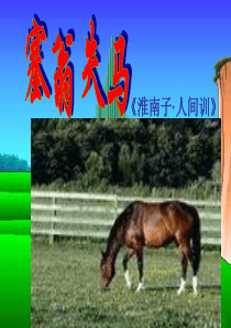 六单元30《寓言四则》中《塞翁失马》课件