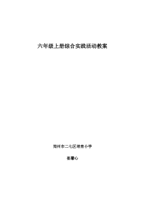 综合实践课教案