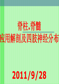 脊柱解剖与神经分布