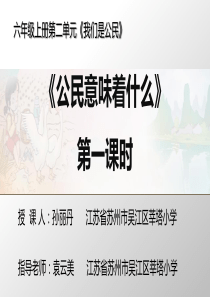 《公民意味着什么》ppt课件人教新版