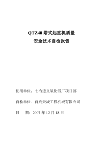 qtz40塔式起重机质量自检报告