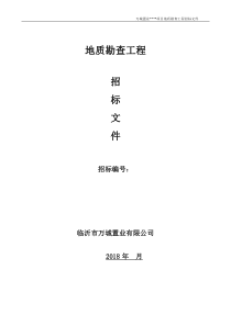 地质勘查招标文件