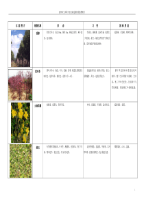 边坡绿化植物资料