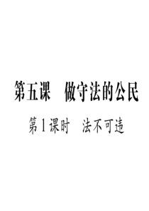 2017-2018学年八年级道德与法治上册同步作业课件：第5课 做守法的公民 第1课时 (共25张P
