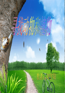 3、寻找动物和植物