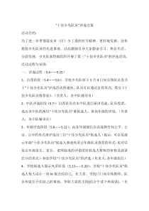 “十佳少先队员”评选方案