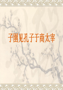 子圉见孔子于商太宰