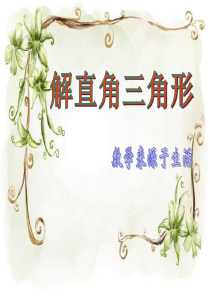 28.2.1解直角三角形课件第一课时