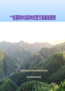 森林经营方案 ---林场案例