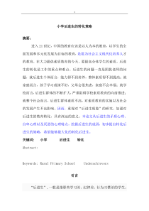 88小学后进生转化