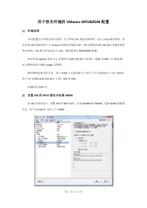 用于容灾环境的NPIV及RDM配置