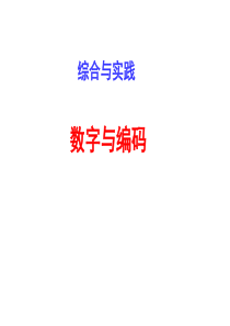 小学数学数字编码(公开课)