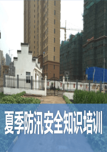 夏季防汛安全知识培训