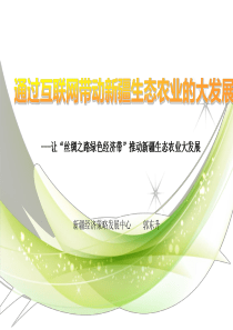 通过电商带动新疆生态大农业大发展(ppt文件)
