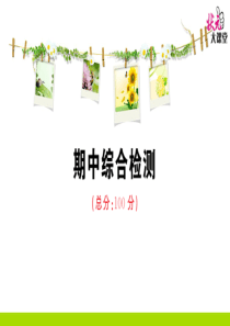 期中综合检测