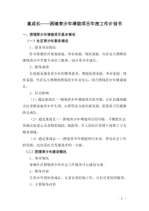 童成长——困境青少年增能项目年度工作计划书