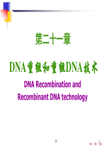 DNA重组及重组DNA技术