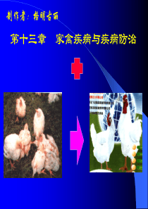 第八章  家禽疾病与疾病防治
