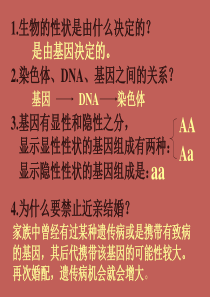 第四节-人的性别遗传