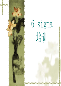 6SIGMA培训全套资料(PPT-247页)