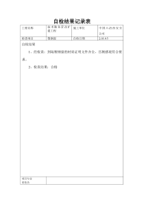 自检结果记录表