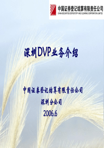深圳DVP业务介绍