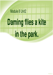 《Daming-flies-a-kite-in-the-park》PPT课件
