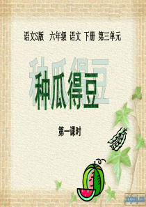 《种瓜得豆》教学课件