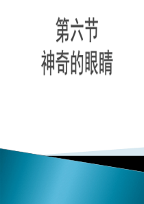 公开课一等奖4.6神奇的眼睛(沪科版)