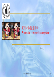 双目立体视觉系统