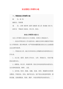 学校安全管理工作领导小组