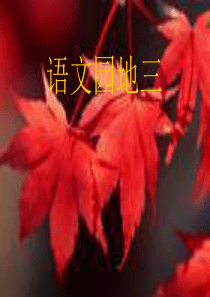 果酒和果醋的制作习题