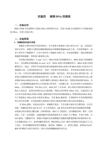 实验四   植物DNA的提取