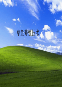 草鱼养殖技术
