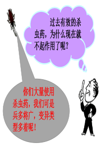 基因突变和基因重组上课课件