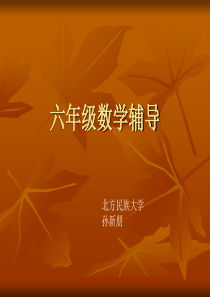 六年级数学辅导