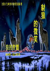 狼的智慧（免费）