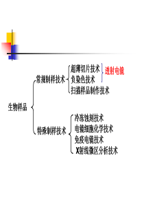 4生物样品超薄切片技术